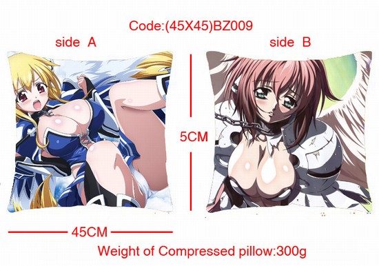 Anime Double-Side Cushion ( reserve 1 day ahead)