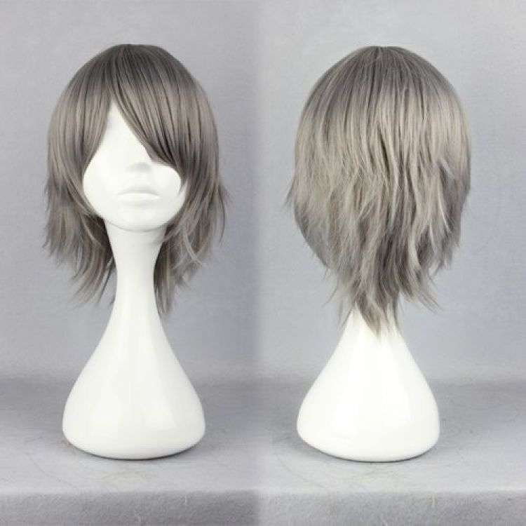 Hitman Reborn Gokudera Hayato Cosplay Wig 237A