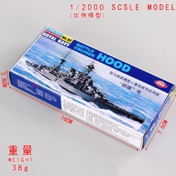 UK Hood Model