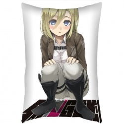 Attack on Titan  pillow 40X60 ...