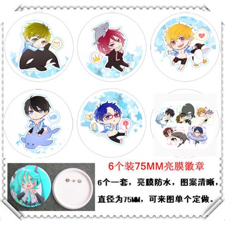 Free! Water-proof Brooch 6 pcs a set random selection