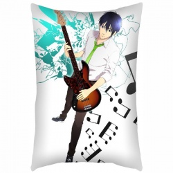 Free! Pillow 40X60 reserve for...