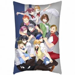 Free! Pillow 40X60 reserve for...