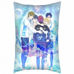 Free! Pillow 40X60 reserve for...