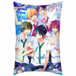 Free! Pillow 40X60 reserve for...