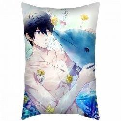 Free! Pillow 40X60 reserve for...