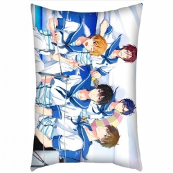 Free! Pillow 40X60 reserve for...