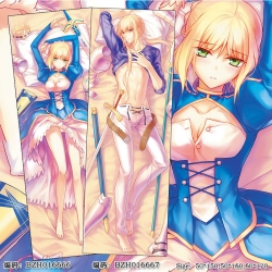 BZH016667 Fate stay night Doub...