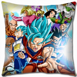 DRAGON BALL Double-sided full ...