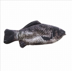 Animal simulation fish Black f...