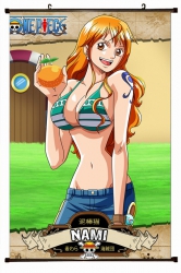 One Piece Plastic pole cloth p...