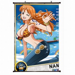 One Piece Plastic pole cloth p...