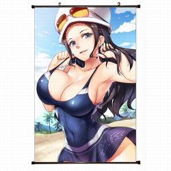 One Piece Plastic pole cloth p...