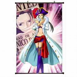 One Piece Plastic pole cloth p...