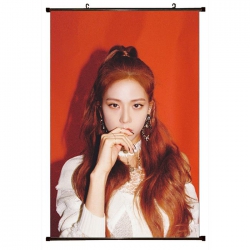 BLACKPINK Plastic pole cloth p...