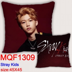 Stray Kids Double-sided full c...