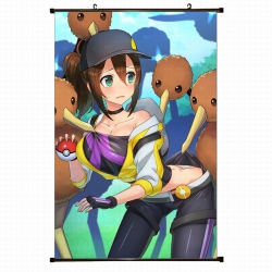 Pokemon Plastic pole cloth pai...