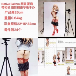 Native Saitom Studio Deluxe Ed...