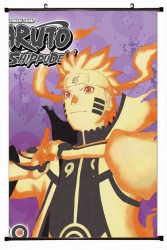 Naruto Plastic pole cloth pain...