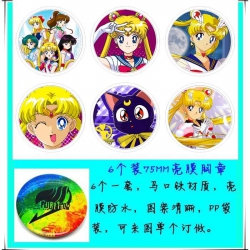 Sailormoon Anime tinplate brig...