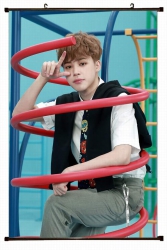 BTS Plastic pole cloth paintin...