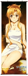 Sword Art Online Plastic pole ...