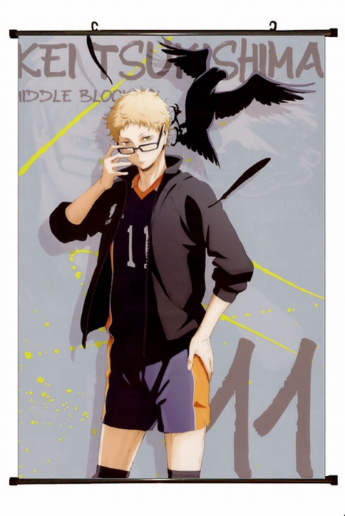 Haikyuu!! Plastic pole cloth painting Wall Scroll 60X90CM preorder 3 days p1-113 NO FILLING