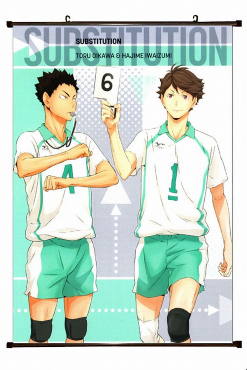 Haikyuu!! Plastic pole cloth painting Wall Scroll 60X90CM preorder 3 days p1-120 NO FILLING