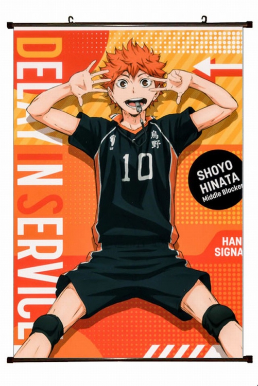 Haikyuu!! Plastic pole cloth painting Wall Scroll 60X90CM   p1-179