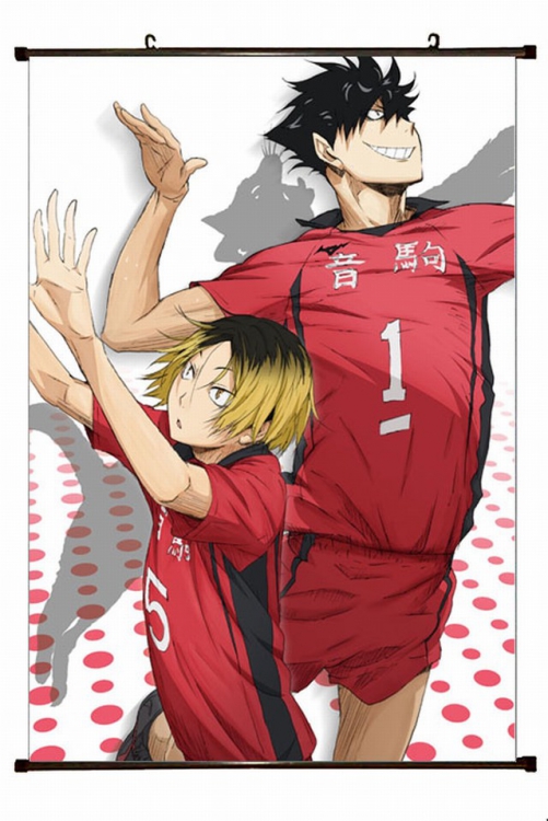 Haikyuu!! Plastic pole cloth painting Wall Scroll 60X90CM preorder 3 days p1-188 NO FILLING