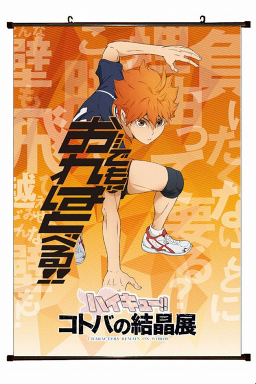 Haikyuu!! Plastic pole cloth painting Wall Scroll 60X90CM preorder 3 days p1-194 NO FILLING