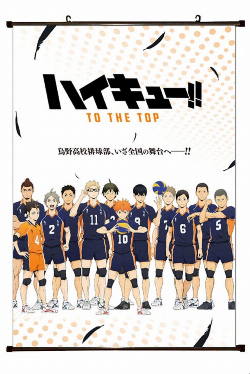 Haikyuu!! Plastic pole cloth painting Wall Scroll 60X90CM preorder 3 days p1-196 NO FILLING