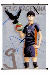 Haikyuu!! Plastic pole cloth p...