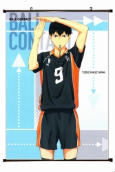 Haikyuu!! Plastic pole cloth p...