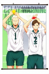 Haikyuu!! Plastic pole cloth p...