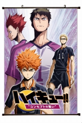 Haikyuu!! Plastic pole cloth p...