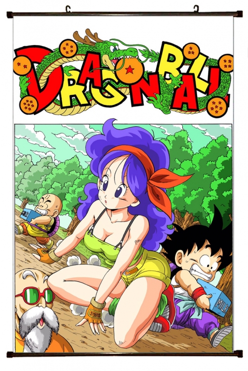 DRAGON BALL Plastic pole cloth painting Wall Scroll 60X90CM  GB-372 NO FILLING