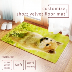 Carpet rug Mats Floor mat  50×...