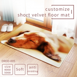 Carpet rug Mats Floor mat  50×...