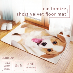 Carpet rug Mats Floor mat  50×...