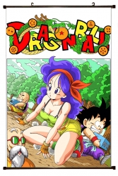 DRAGON BALL Plastic pole cloth...