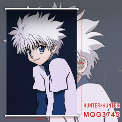 HunterXHunter Anime Plastic po...