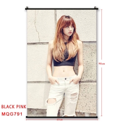 BLACK PINK BLACK plastic pole ...