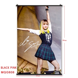 BLACK PINK BLACK plastic pole ...