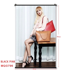 BLACK PINK BLACK plastic pole ...