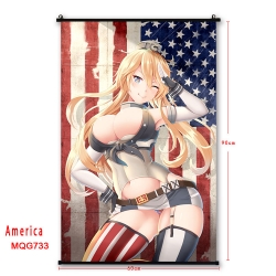 American Flag plastic pole clo...