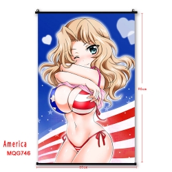 American Flag plastic pole clo...