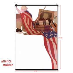 American Flag plastic pole clo...