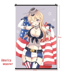 American Flag plastic pole clo...