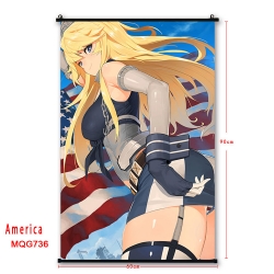 American Flag plastic pole clo...